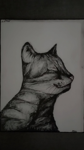 My Cat, Ganon