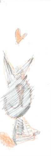 Cat and heart