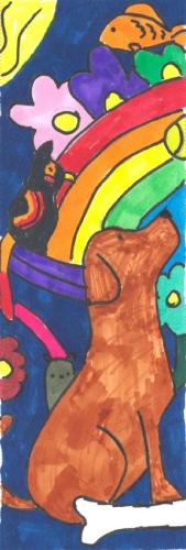 animals and rainbow
